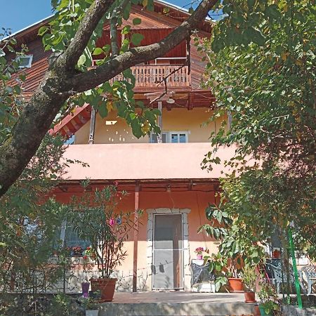 Vila Mara Sărata-Monteoru Kültér fotó