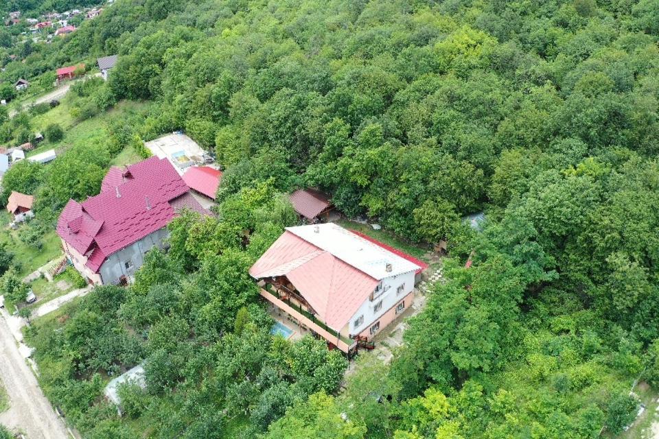 Vila Mara Sărata-Monteoru Kültér fotó