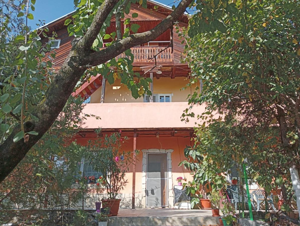 Vila Mara Sărata-Monteoru Kültér fotó