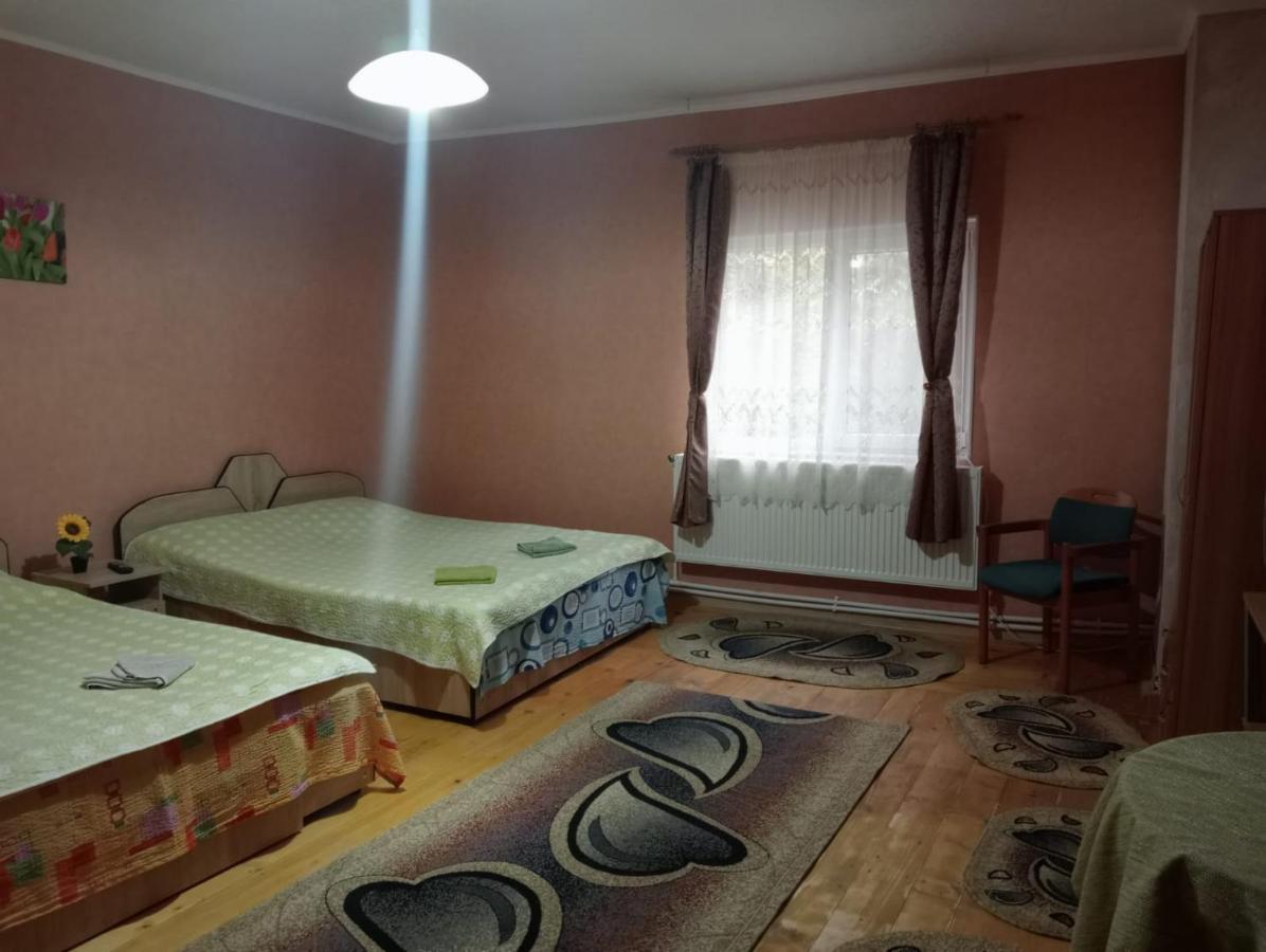 Vila Mara Sărata-Monteoru Kültér fotó